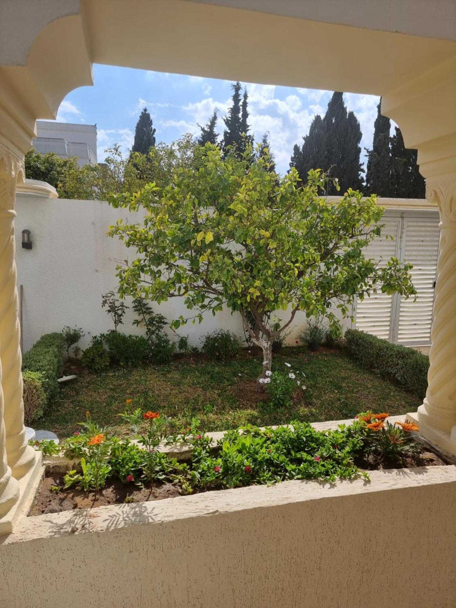 Appartements De Luxe Pres De La Mer نابل المظهر الخارجي الصورة