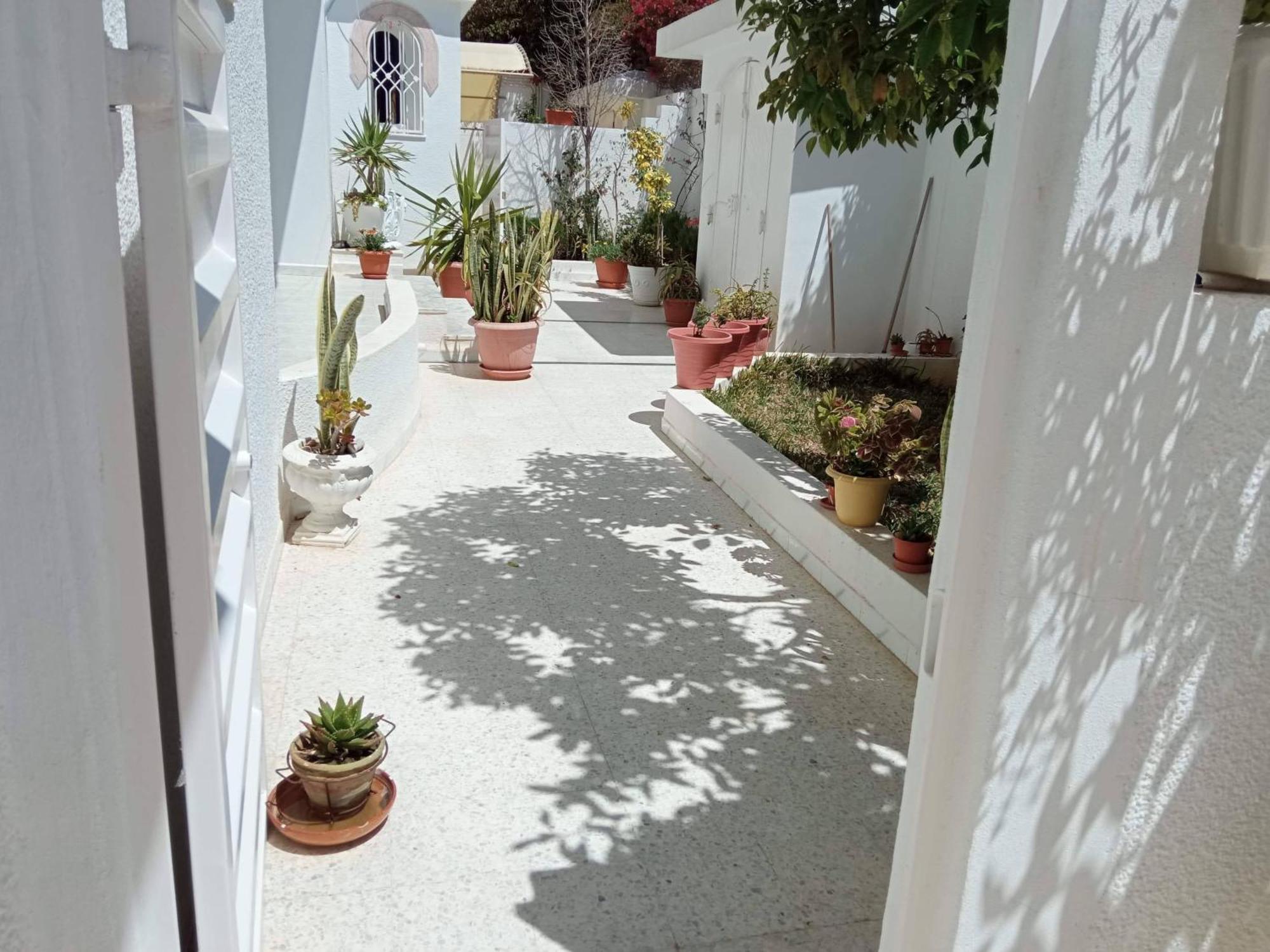 Appartements De Luxe Pres De La Mer نابل المظهر الخارجي الصورة